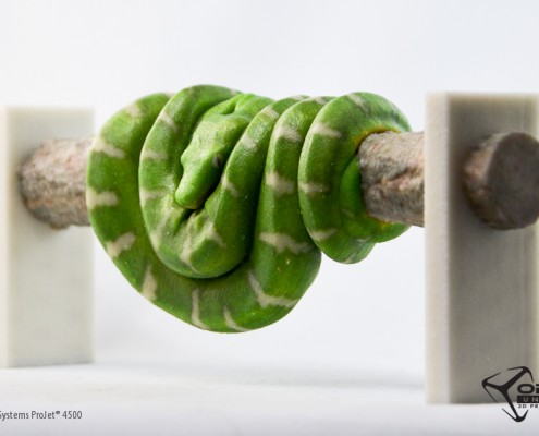 A snake curled on a branch. Created by Objex Designer Craig Reid. Printed on a ProJet 4500 by Objex Unlimited.