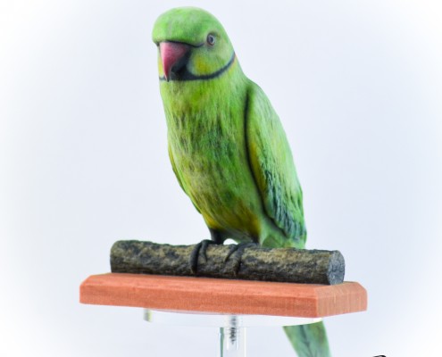 3D Sculpted Parakeet - ProJet 660Pro - Objex Unlimited